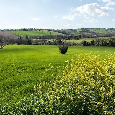 Luce - Sirolo, Meravigliosa Con Piscina Nel Parco Del Conero Appartamento Casa Petromilli
