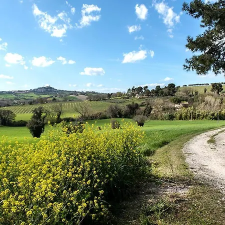Appartamento Luce - Sirolo, Meravigliosa Con Piscina Nel Parco Del Conero